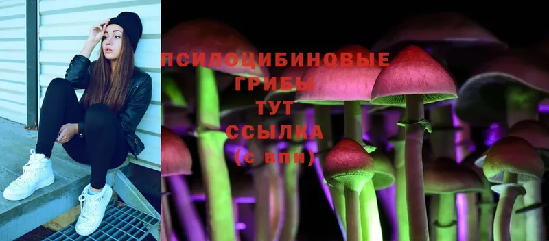 Галлюциногенные грибы MAGIC MUSHROOMS  где купить наркотик  Камышлов 